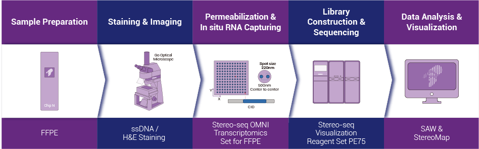 Tissue to Data End-to-end Solution